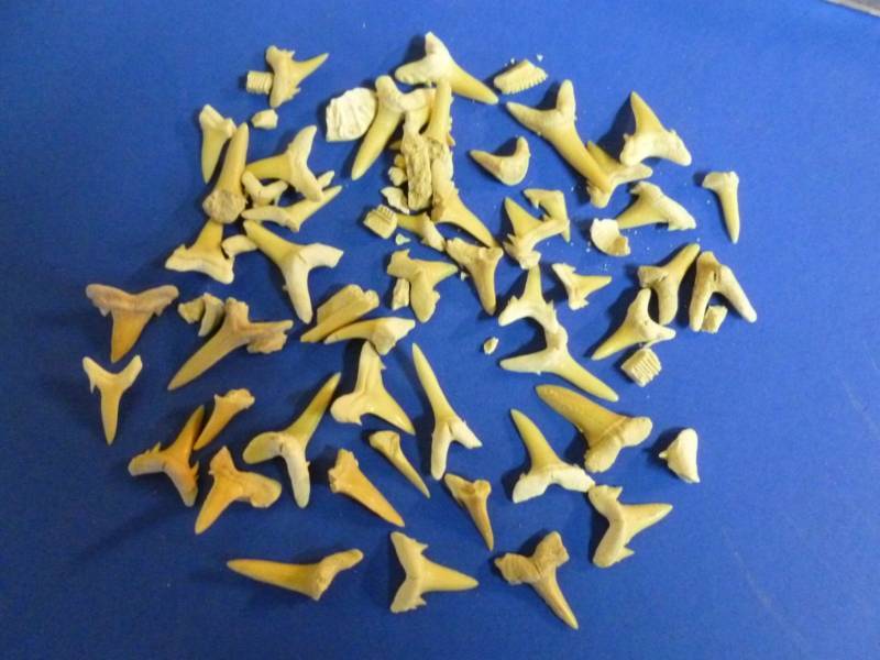 lot 102 image: Collectible