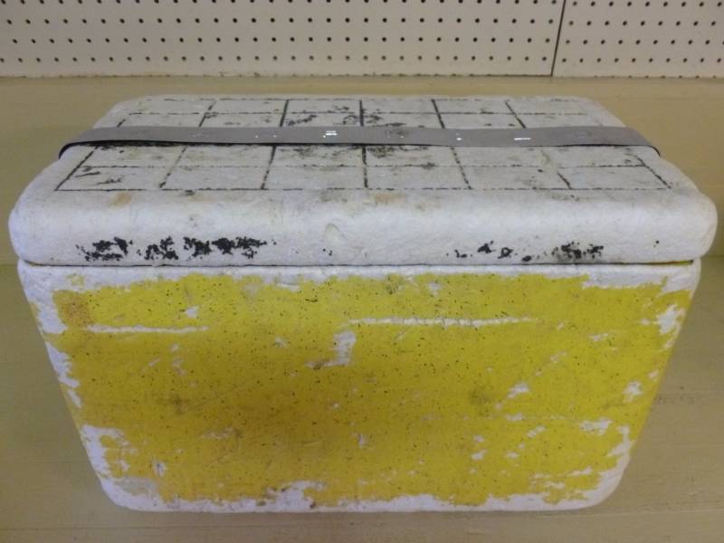 lot 225 image: Vintage Cooler