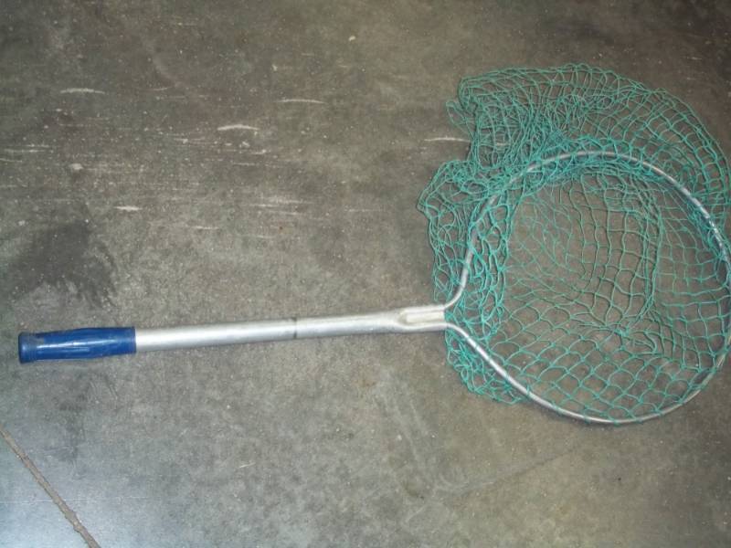 Fish net