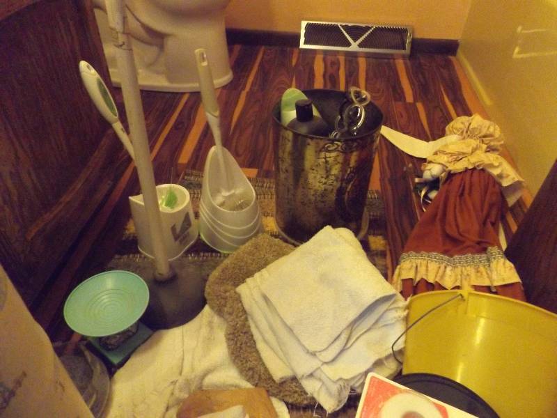 Plungers, Throw Rugs, Toilet Cleaners, more