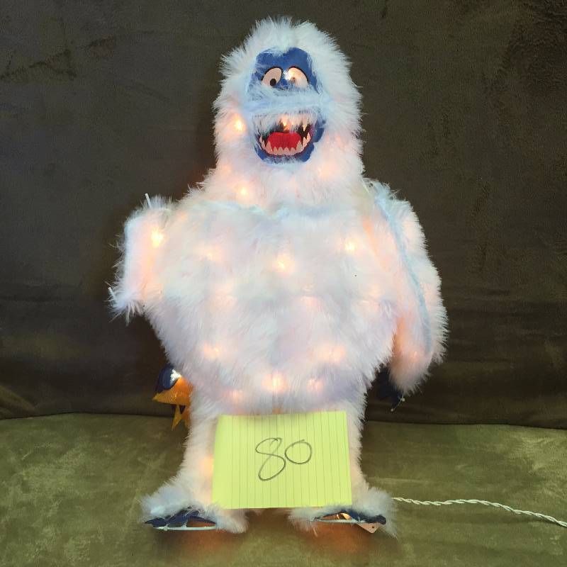 Christmas Lighted decoration