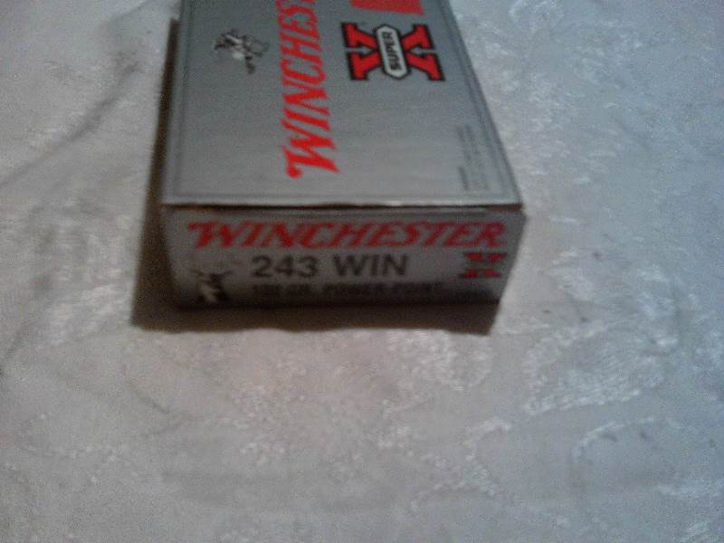 243 winchester  100gr power point