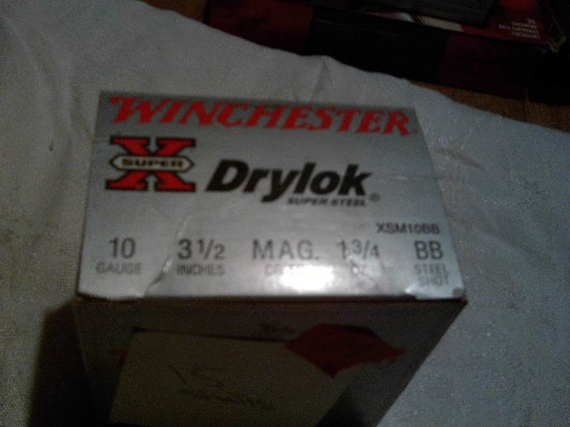 winchester 10 gauge