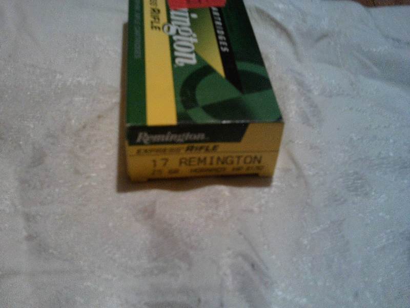 remington 17