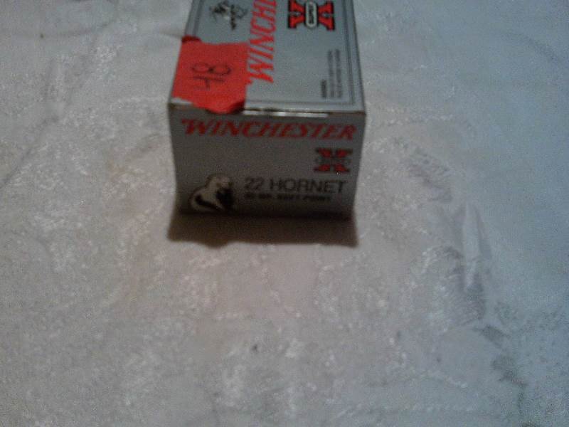 winchester 22 hornet