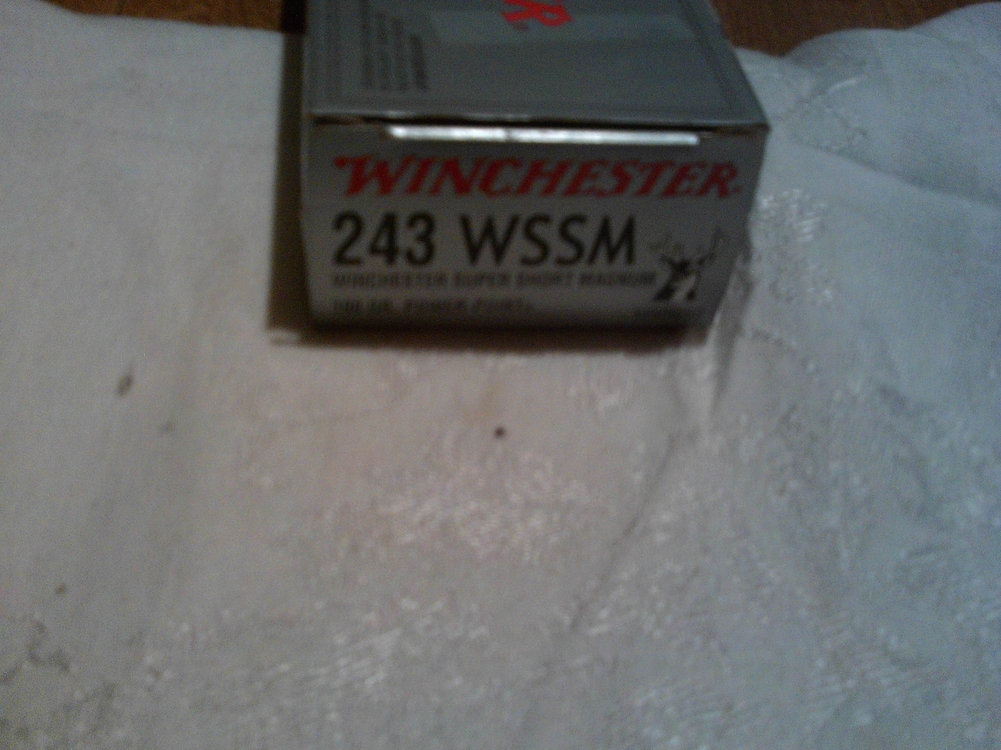 winchester 243