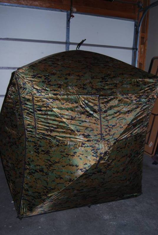 Sportsman 113