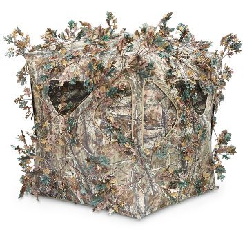Sportsman 113
