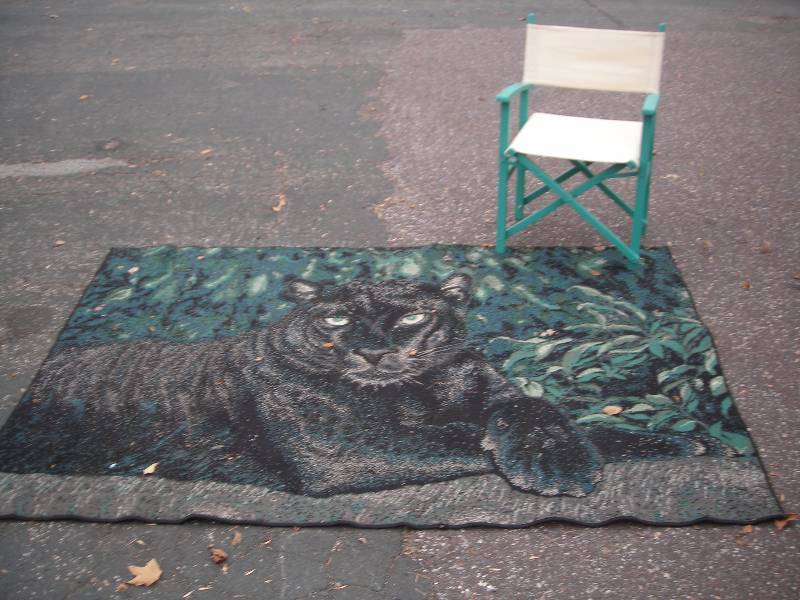 lot 2 image: Panther Rug & Director Chair