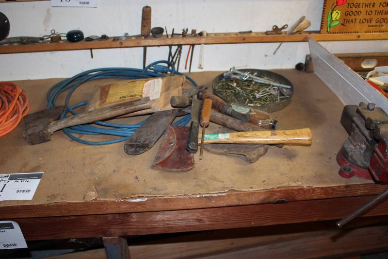 lot 11 image: Garden hoses (3)