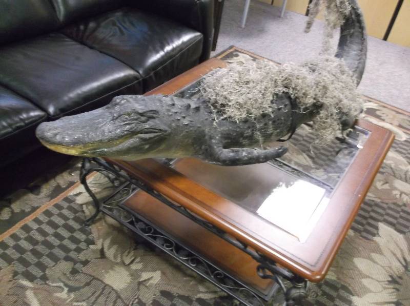 Alligator Mount