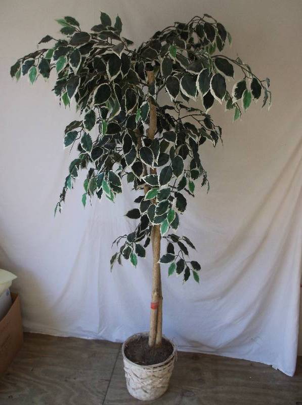Artificial Tree
