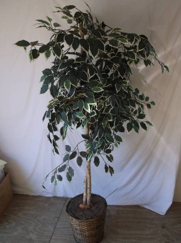 Artificial Tree