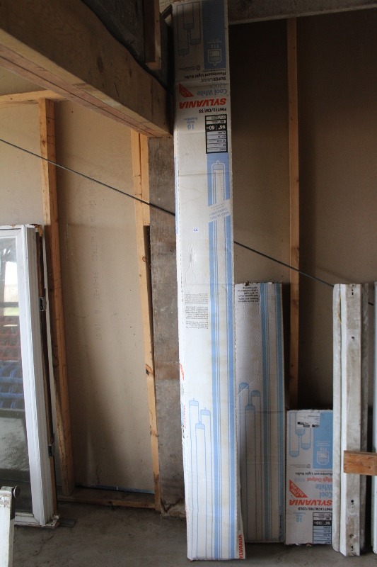 Fluorescent Light Bulbs