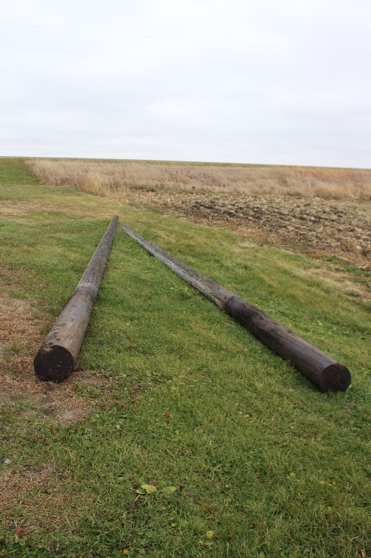 Pair of Telephone Poles