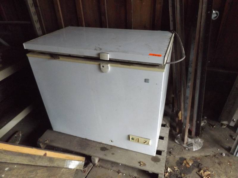 GE Freezer