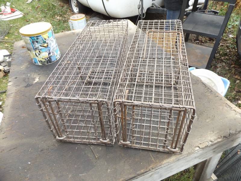 Pair of traps