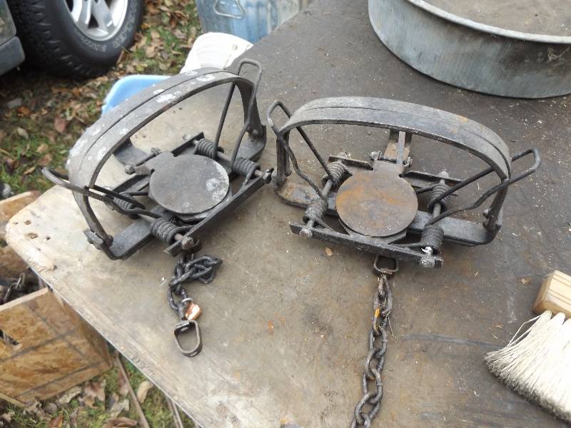 Pair of Traps