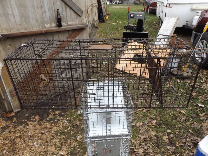Animal Trap
