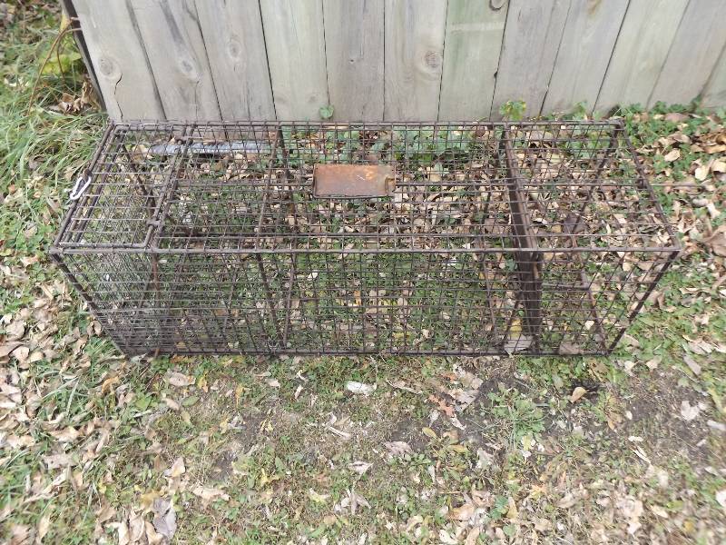 Animal Trap