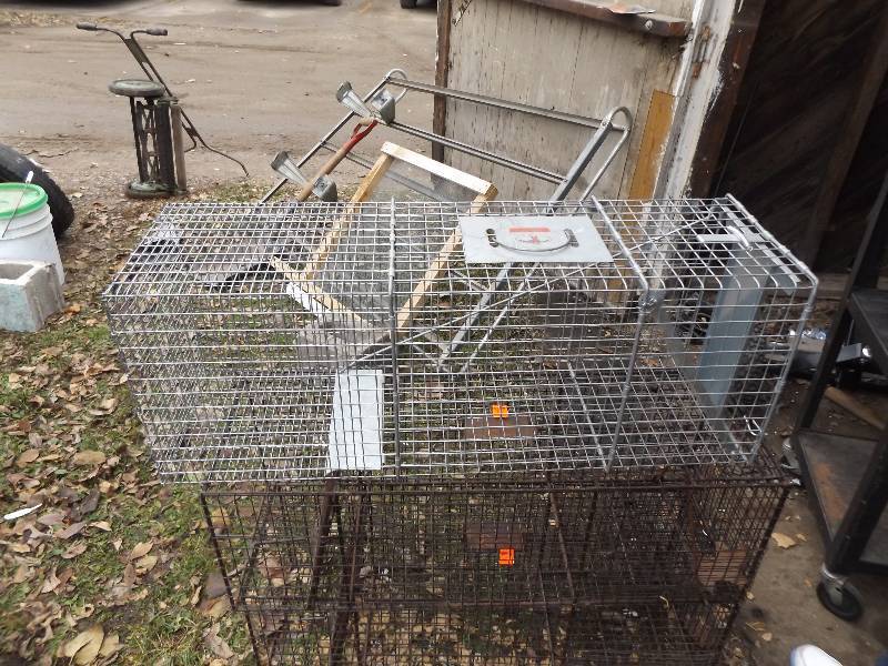 Animal Trap
