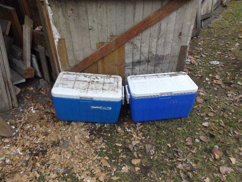 Coleman Coolers