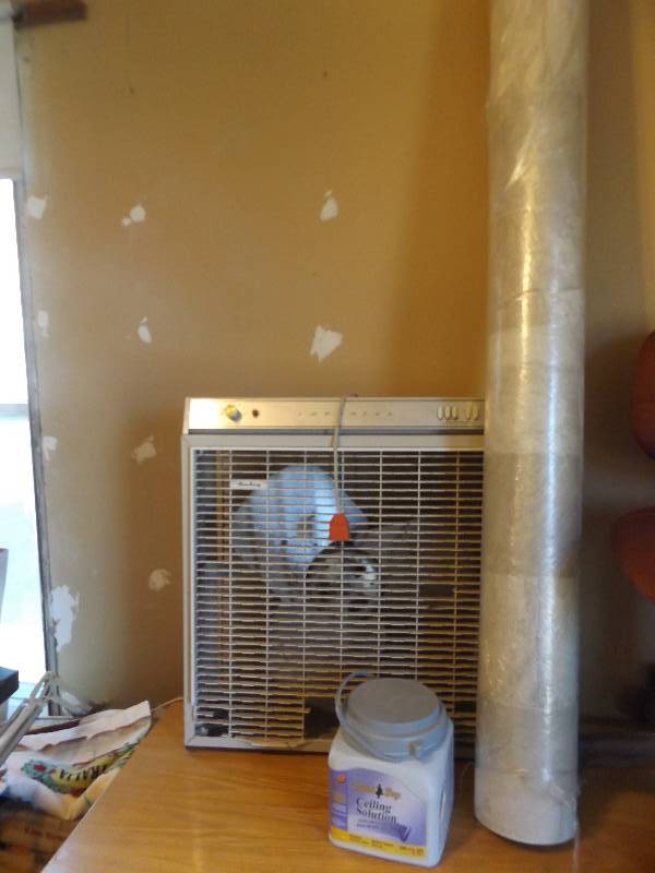 Fan and linoleum