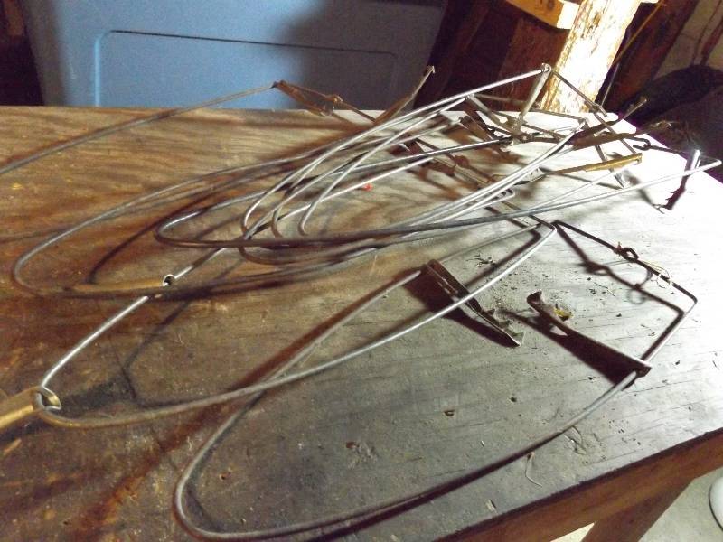 Pelt Stretchers