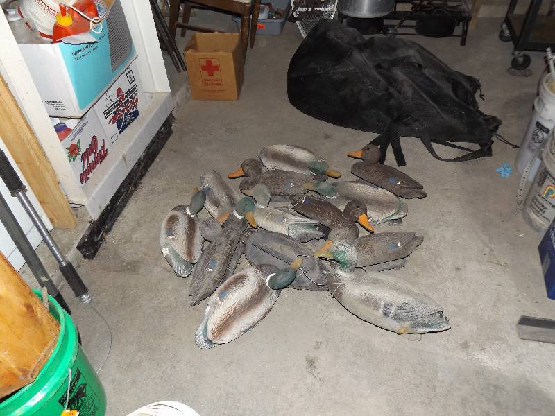 Duck Decoys