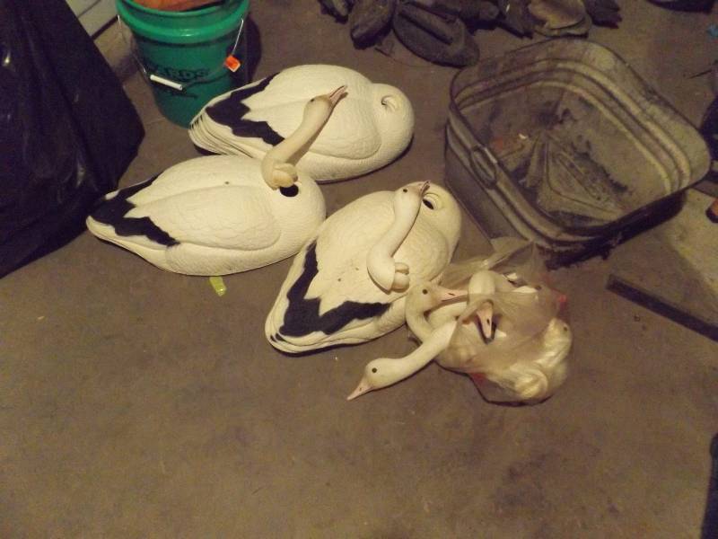 Goose Decoys