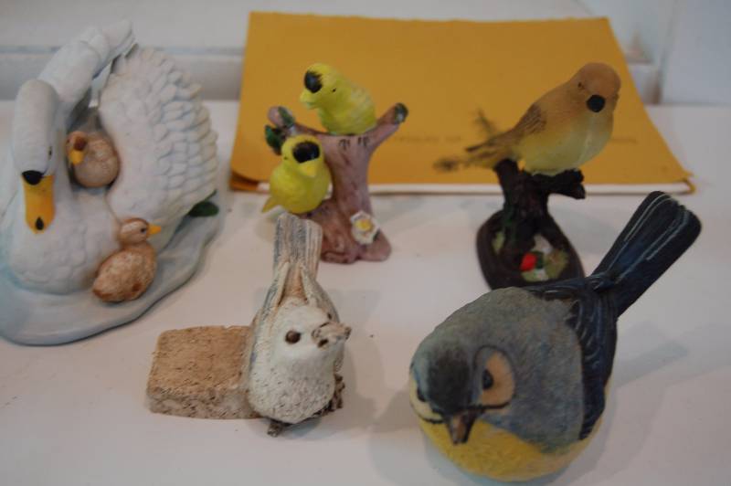 BIRDS