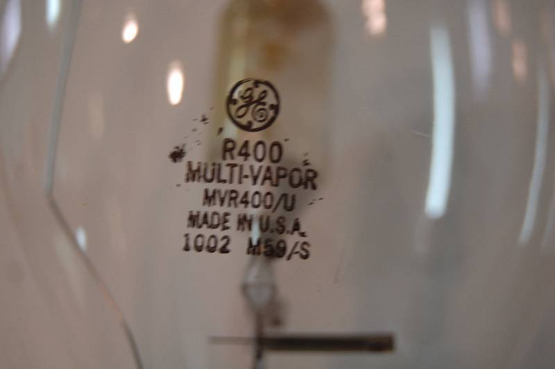 Large Light Bulb