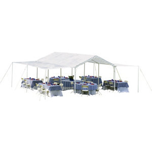 ShelterLogic Max AP 10 x 20 3-in-1 Canopy System