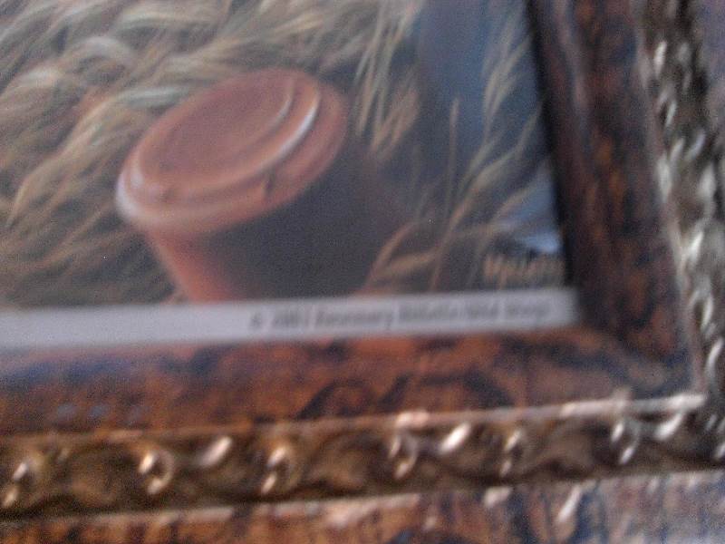 2003 rosemary millette wild uns deer picture