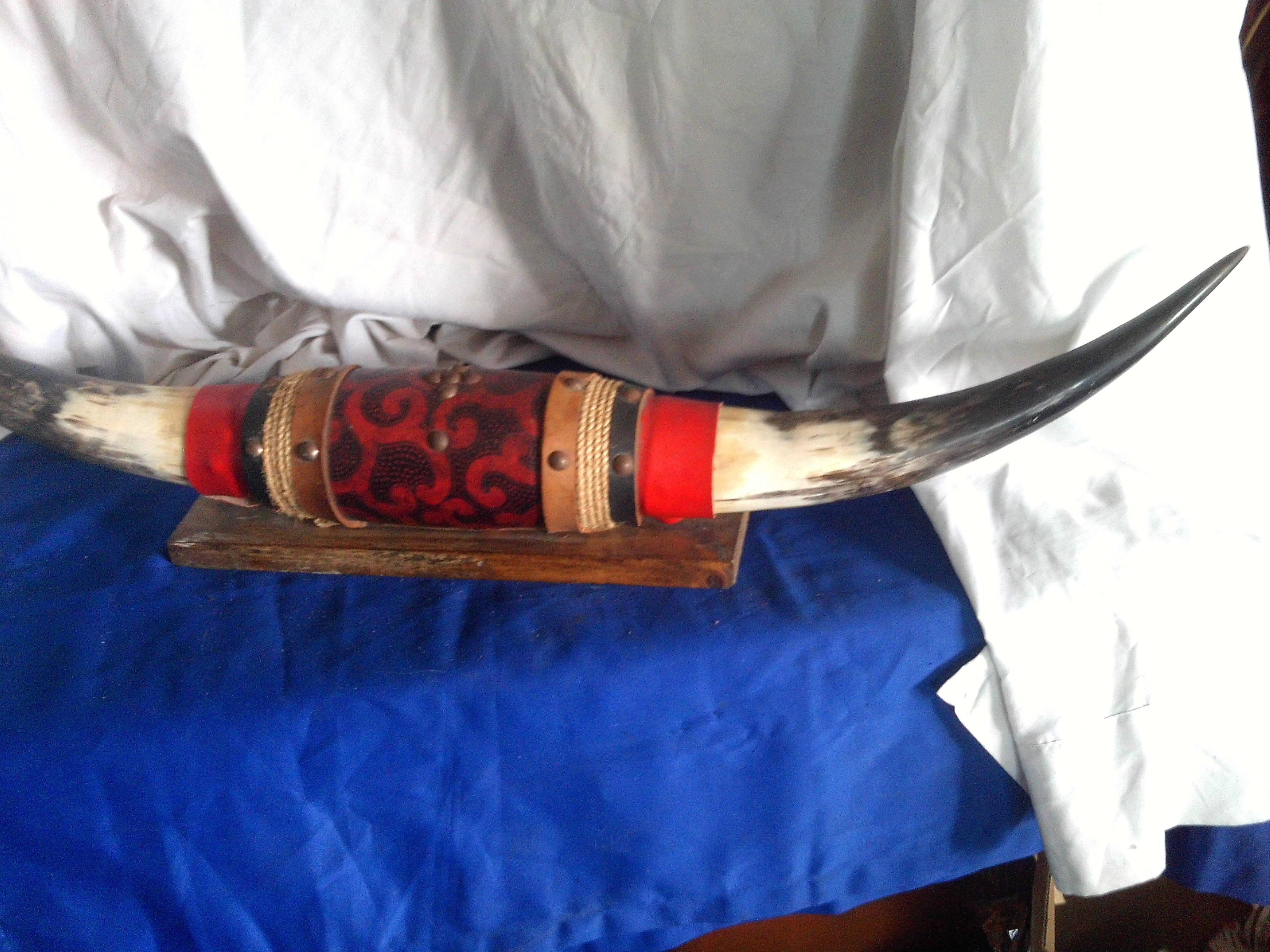vintage ankole cattle horns