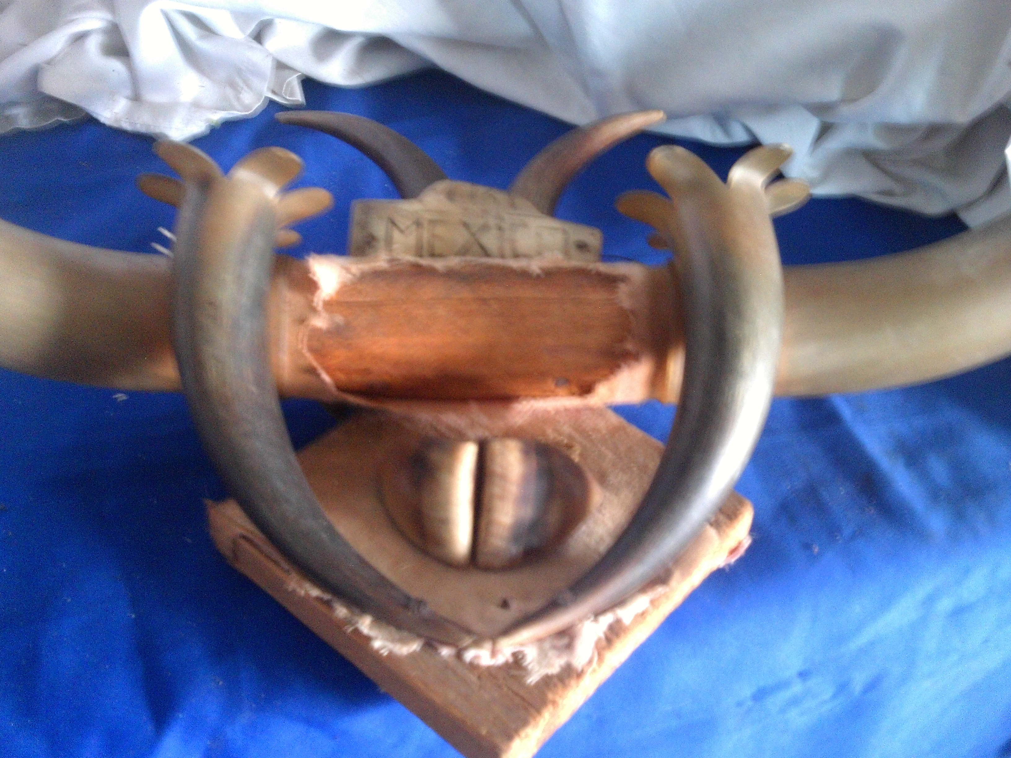 vintage horns plaque