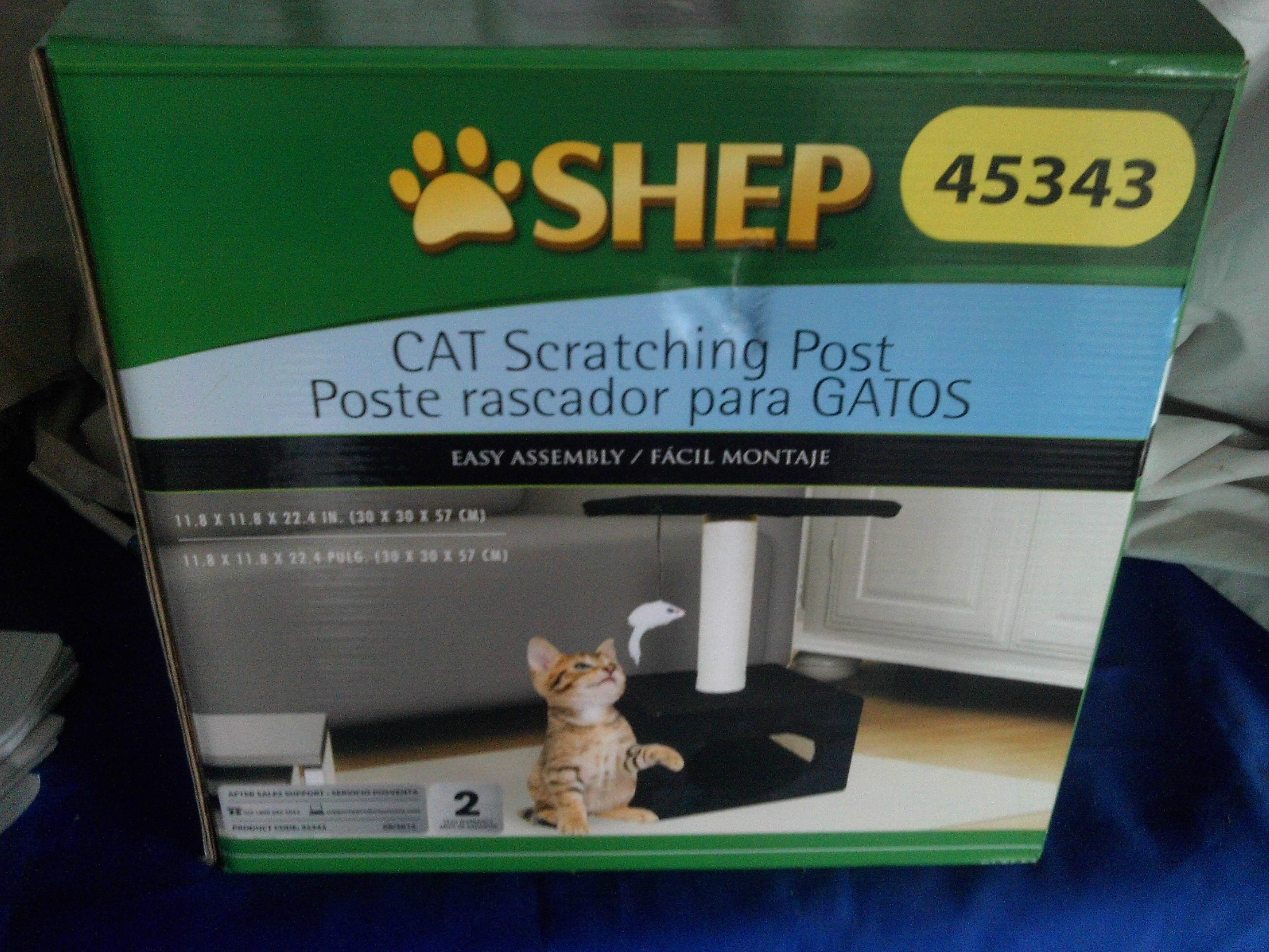 new cat scratching post