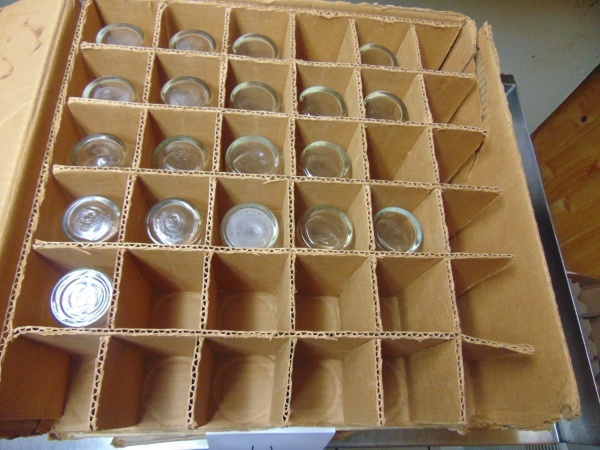 Around (90) Juice Glasses