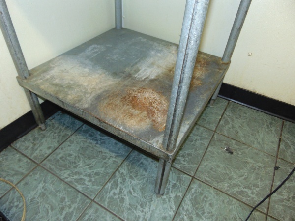 Stainless Steel Prep Table