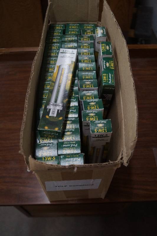 Compact Florescent Lamps
