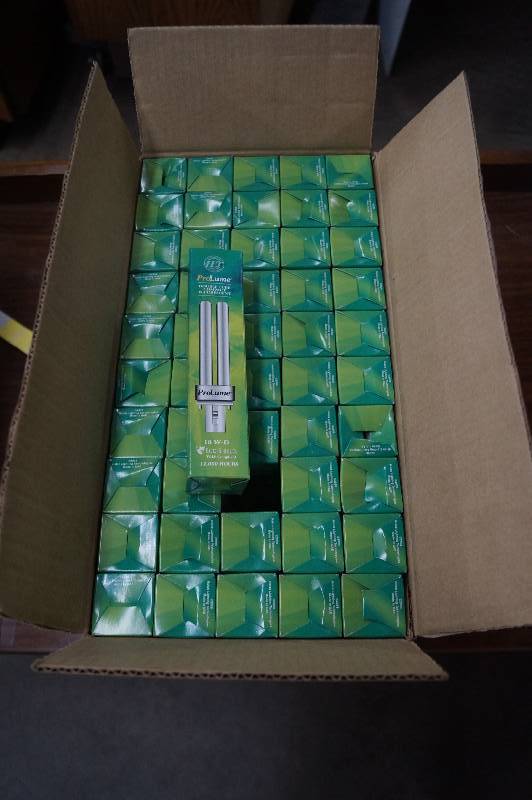 Compact Florescent Lamps
