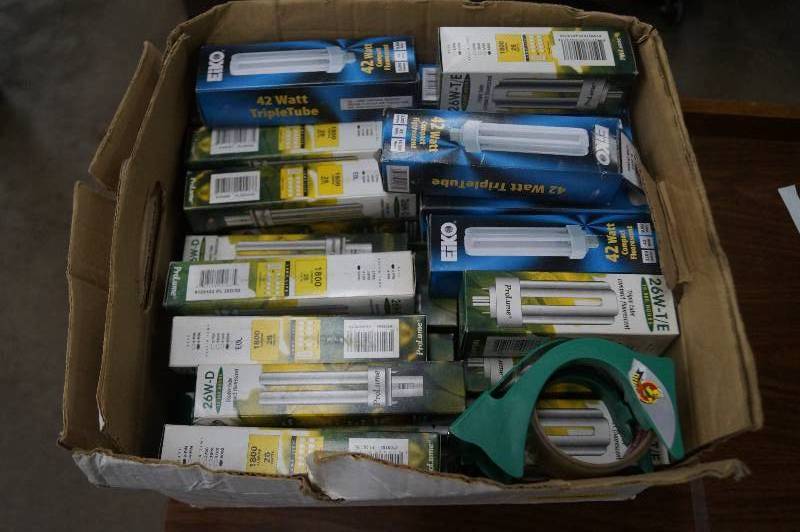 Compact Florescent Lamps