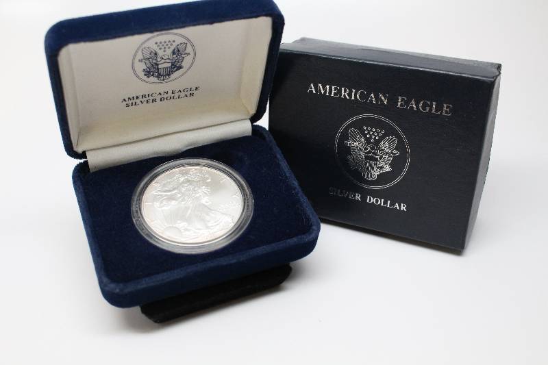 2001 Silver American Eagle with Boxes and NO COA