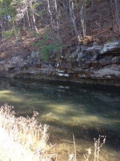 Lanesboro 5 Acre Land Auction