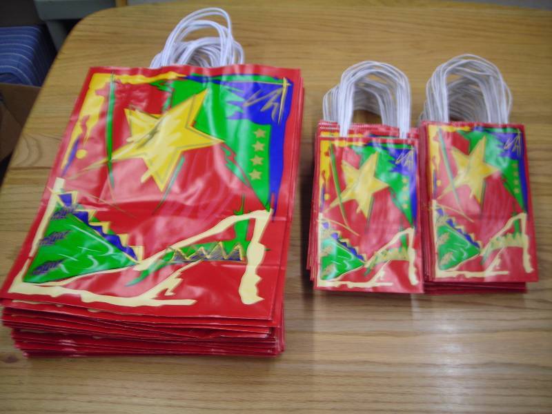 Lot Of Gift Bags (19 Large & 49 Small)