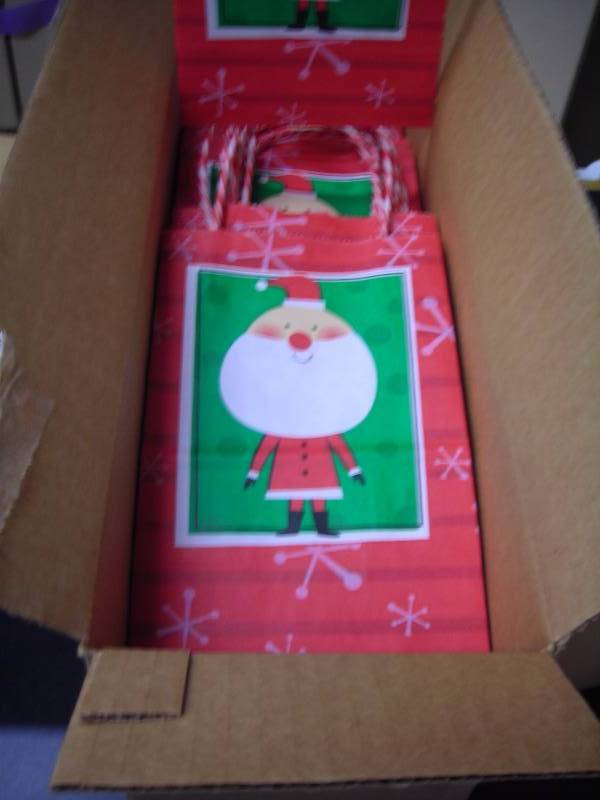 Case Of 100- 8 Inch Gift Bags