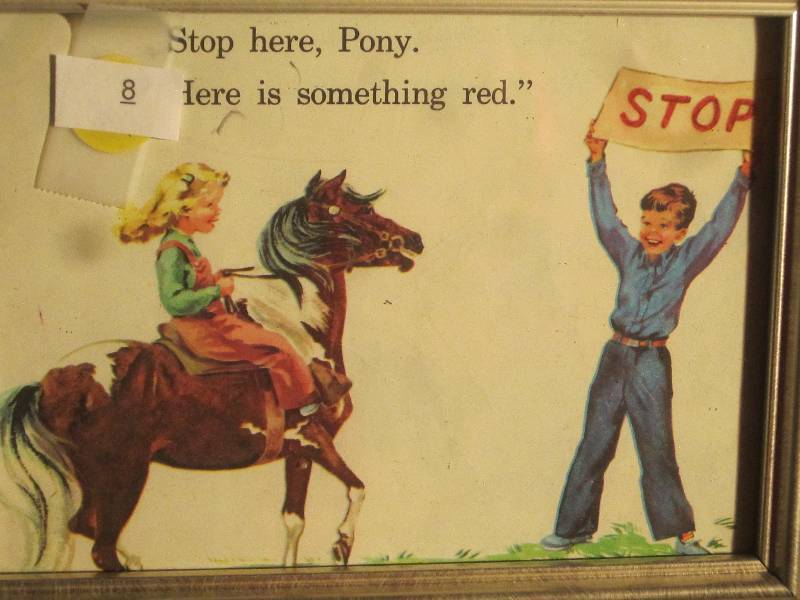 Reader Picture - Stop here Pony