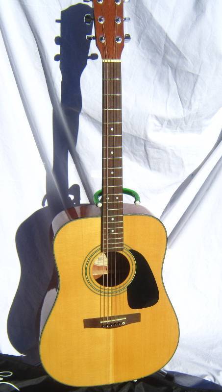 Fender Acoustic Guitar DG-8S NAT