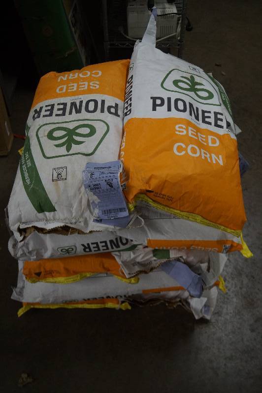 Pioneer Corn Seed