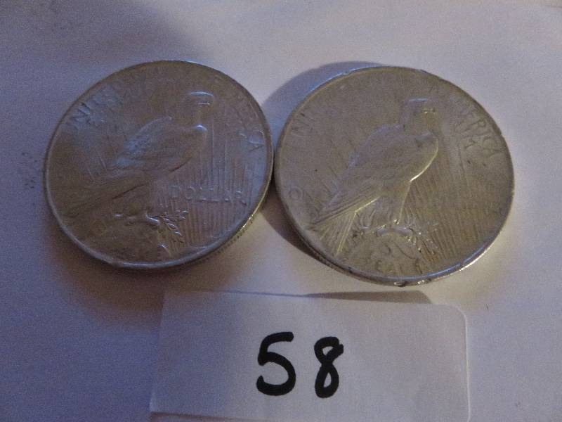 Dollar Coins (Lot of 2)
